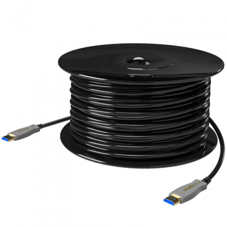 AISENSA148-0699