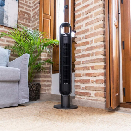 CECOTEC05972