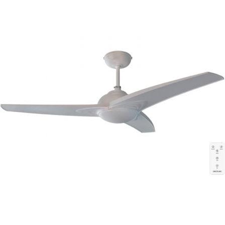 CECOTEC05942