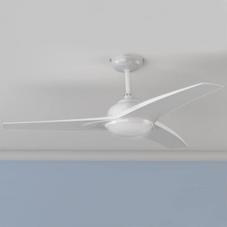 CECOTEC05942