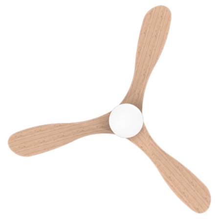 CECOTEC05983