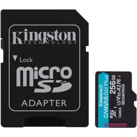 KINGSTONSDCG4/256GB