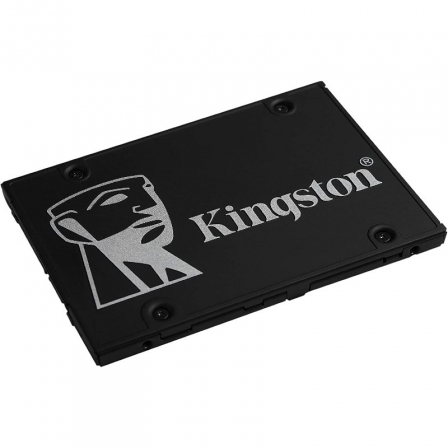 KINGSTONSKC600/256G