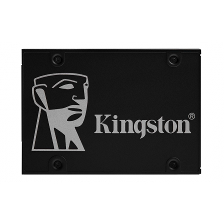KINGSTONSKC600/256G