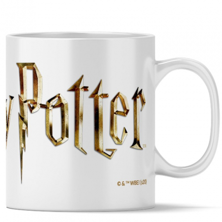 HARRY POTTERLCWMGHARRY047